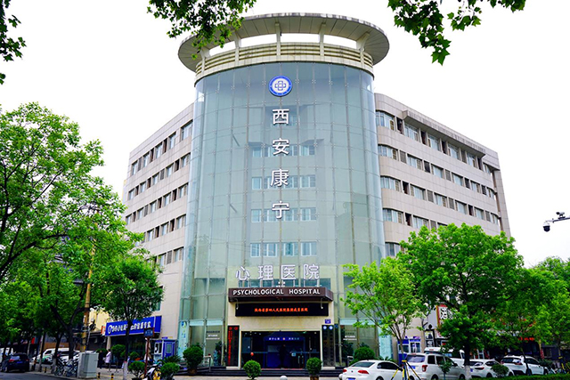 西安地区心理疏导服务选择指南：四个核心考量维度